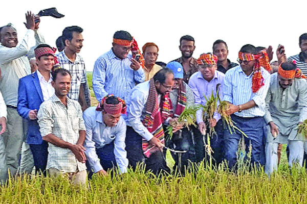 কৃষকের হাসিতে হাসেন কান্নায় মন কাঁদে শেখ হাসিনার : শামীম
