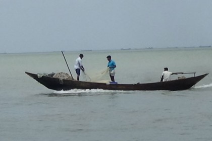 চরফ্যাশনে ইলিশ শিকারে জেলেরা

