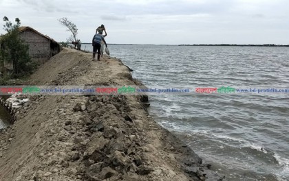 খুলনা-সাতক্ষীরার ১৬০০ কিলোমিটার বেড়িবাঁধ ঝুঁকিপূর্ণ, উদ্বিগ্ন উপকূলবাসী