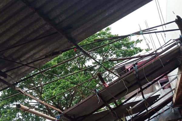 রায়পুরে ‘ফণী’র আঘাতে ফসল ও ঘরবাড়ির ব্যাপক ক্ষতি