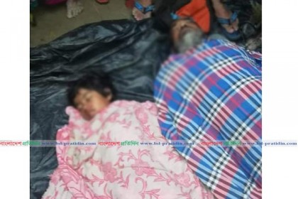 সিরাজগঞ্জে বটগাছের নিচে চাপা পড়ে দু'জন নিহত, আহত ১০