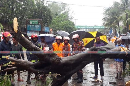 বগুড়ায় ফণীর প্রভাবে ৩০ ঘণ্টা বৃষ্টি, কৃষিতে ক্ষতির আশংকা