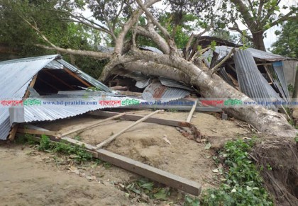 ঘুর্ণিঝড়ে কুমিল্লার বিভিন্ন উপজেলায় ঘর-বাড়ি ক্ষতিগ্রস্ত