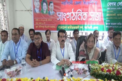 নরসিংদীতে বিএনপির সাংগঠনিক সভা
