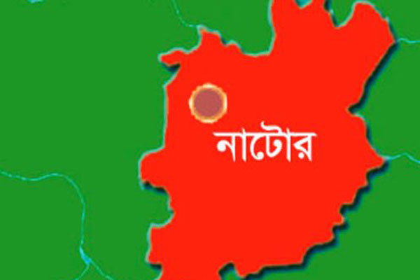 বড়াইগ্রামে তরুণীকে গণধর্ষণ

