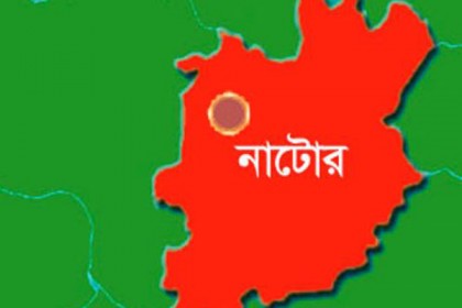 বড়াইগ্রামে তরুণীকে গণধর্ষণ

