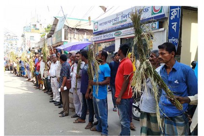 মানিকগঞ্জে ইটভাটা অপসারণের দাবিতে মানববন্ধন 