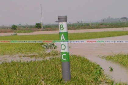 নেত্রকোনায় পাহাড়ি ঢলে বাঁধ ভেঙে হাওরে পানি