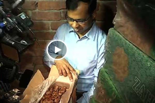 বিশেষ অভিযানে ঢাকায় ২২ টন পচা খেজুর জব্দ