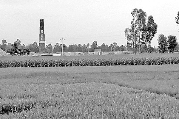 ভাটার ধোঁয়ায় কপাল পুড়েছে কৃষকের
