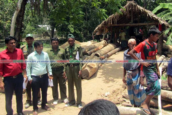 মোরেলগঞ্জে দুটি করাতকলে জরিমানা
