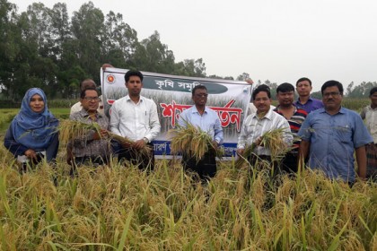 খানসামায় বোরো ধান কাটা উদ্বোধন

