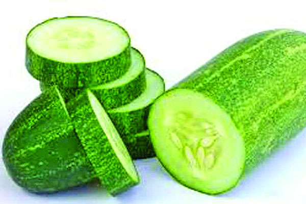 শরীরে শসা কতটা উপকারী?