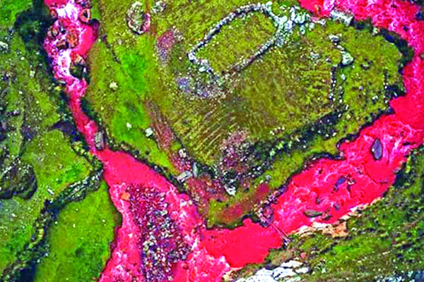 লাল পানির নদী