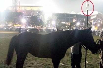 তীব্র গরমে ঘোড়াকে স্যালাইন!