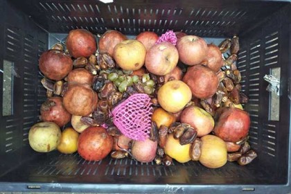 রাঙামাটিতে তিন ফল ব্যবসায়ীকে অর্থদণ্ড