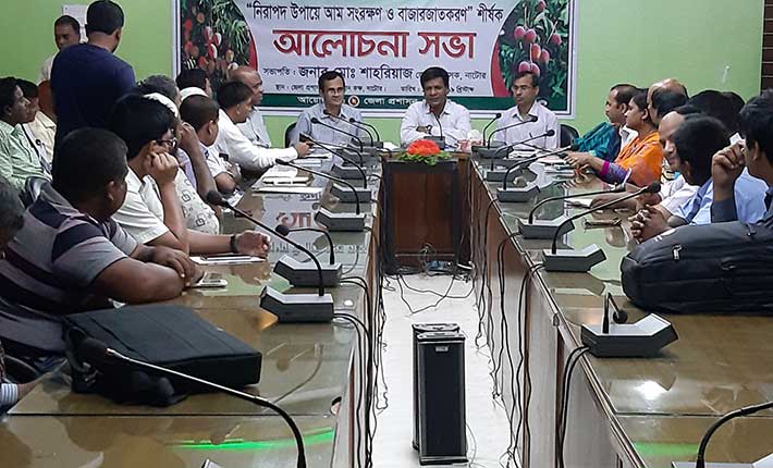 নাটোরে কাল থেকে আম সংগ্রহ শুরু