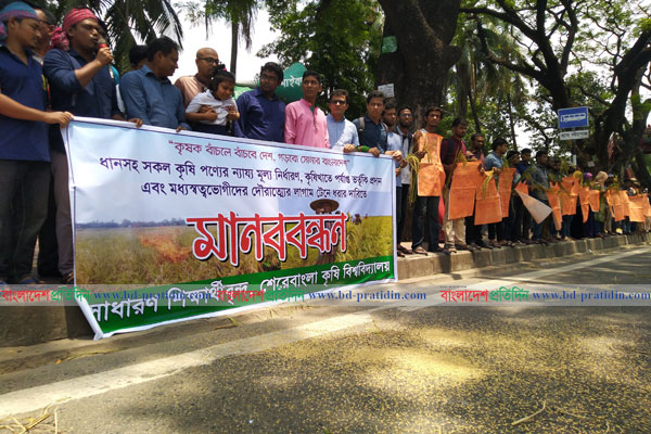 সড়কে ধান ছিটিয়ে শেকৃবি শিক্ষার্থীদের মানববন্ধন