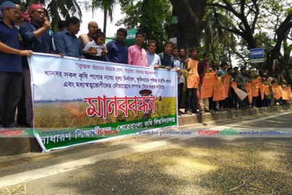 সড়কে ধান ছিটিয়ে শেকৃবি শিক্ষার্থীদের মানববন্ধন