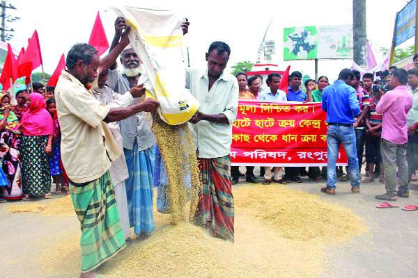 কাঁদছে কৃষক পুড়ছে ধান