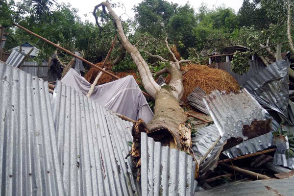 টাঙ্গাইলে ঝড়ে ঘরবাড়ি লন্ডভন্ড, নিহত ১