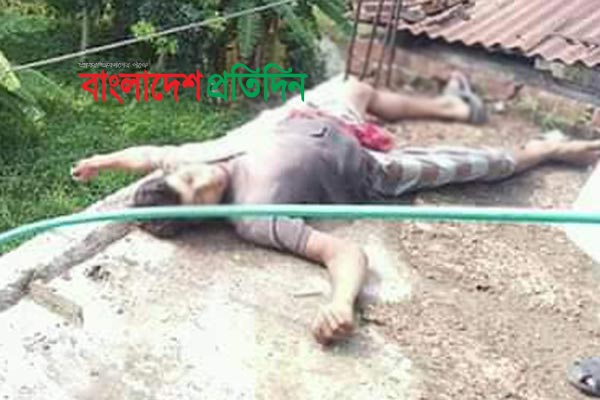 কবুতর ধরতে গিয়ে বিদ্যুৎস্পৃষ্টে প্রাণ গেল শ্রমিকের