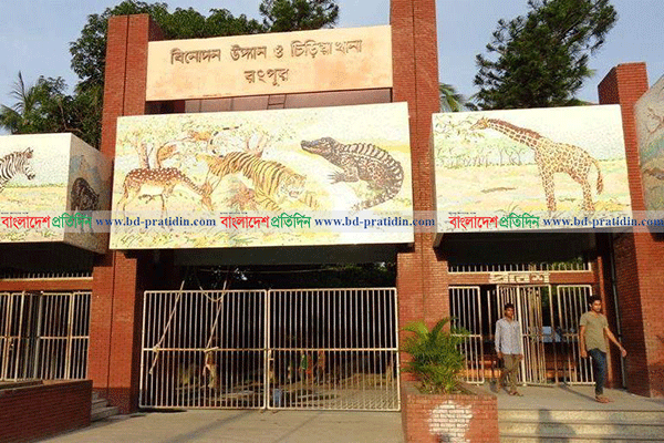 হরিণ নিয়ে বিপাকে রংপুর চিড়িয়াখানা
