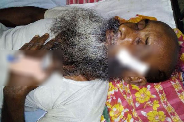 মাছ চুরিতে বাধা দেওয়ায় মুক্তিযোদ্ধার উপর সন্ত্রাসী হামলার অভিযোগ