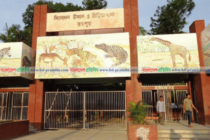 হরিণ নিয়ে বিপাকে রংপুর চিড়িয়াখানা
