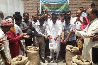 বাগাতিপাড়ায় ধান সংগ্রহ অভিযান শুরু