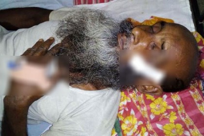 মাছ চুরিতে বাধা দেওয়ায় মুক্তিযোদ্ধার উপর সন্ত্রাসী হামলার অভিযোগ