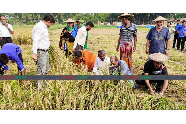 কৃষকের ধান কেটে দৃষ্টান্ত স্থাপন করলেন জেলা প্রশাসক