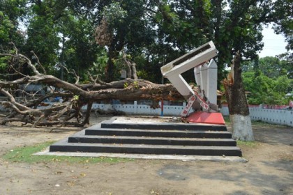 গাছ পড়ে শহীদ মিনার বিধ্বস্ত: অপসারণে বন বিভাগ-পৌরসভার রশি টানাটানি