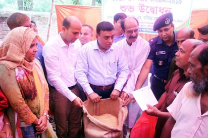 আগৈলঝাড়ায় কৃষকের কাছ থেকে সরাসরি বোরো ধান সংগ্রহ