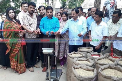 
খুলনায় কৃষকের কাছ থেকে ধান সংগ্রহ কার্যক্রম শুরু