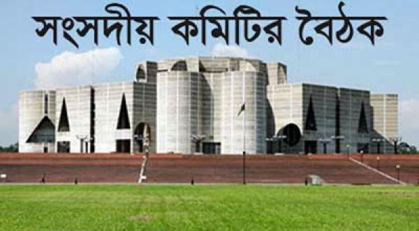 স্থানীয় সরকার মন্ত্রণালয় সম্পর্কিত সংসদীয় কমিটির বৈঠক