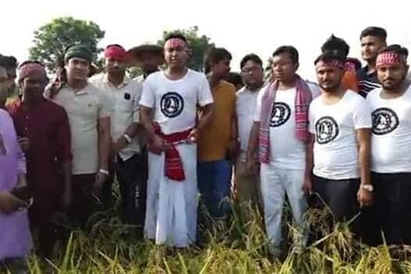 কৃষকের ধান কেটে দিলেন ছাত্রলীগ সম্পাদক রাব্বানী (ভিডিও)