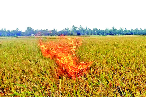 কৃষকের মাথায় হাত
