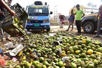 রাজধানীতে ৪০০ মণ আম ধ্বংস 