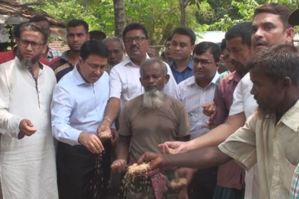 সাতক্ষীরায় কৃষকের বাড়িতে গিয়ে ধান ক্রয়