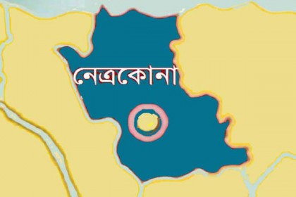 নেত্রকোনায় ধান সংগ্রহ শুরু