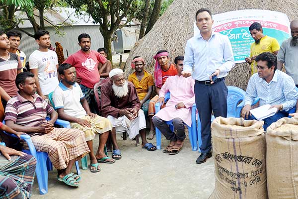 বগুড়ায় কৃষকের বাড়ি থেকে ধান সংগ্রহ শুরু