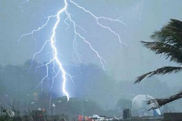 গলাচিপায় বজ্রপাতে দুটি গাভীর মৃত্যু