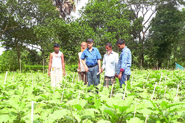 এক ফসলের চিকিৎসকের কথা
