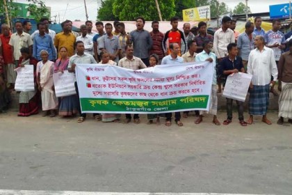 ঠাকুরগাঁওয়ে ধানের ন্যায্য মূল্যের দাবিতে মানববন্ধন, সড়ক অবরোধ