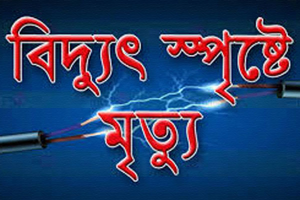 টাঙ্গাইলে বিদ্যুৎস্পৃষ্টে পিতা নিহত, ছেলে আহত 