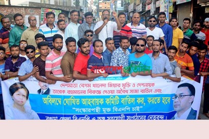 বগুড়া জেলা বিএনপির কমিটি বাতিল ও বহিষ্কৃতদের পুনর্বহালের দাবি