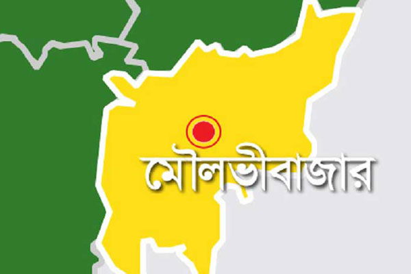 মৌলভীবাজারের নারী আইনজীবীকে হত্যা, আটক ২