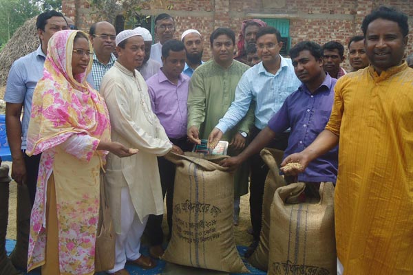 কাহালুতে কৃষকের বাড়ি গিয়ে ধান ক্রয় করলেন ইউএনও

