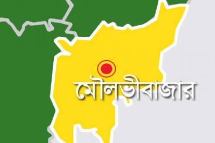 মৌলভীবাজারের নারী আইনজীবীকে হত্যা, আটক ২